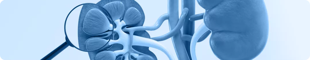 Какой метод исследования биоптатов почки является более информативным: световая, иммунофлюоресцентная или электронная микроскопия?