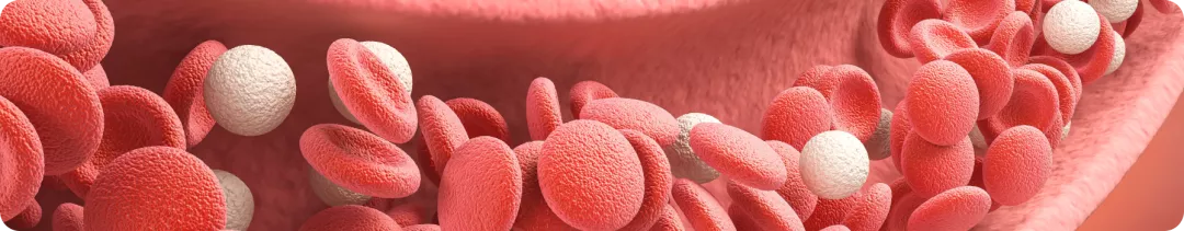 ХС ЛНП: Ахиллесова пята пациента с атеросклеротическим сердечно-сосудистым заболеванием