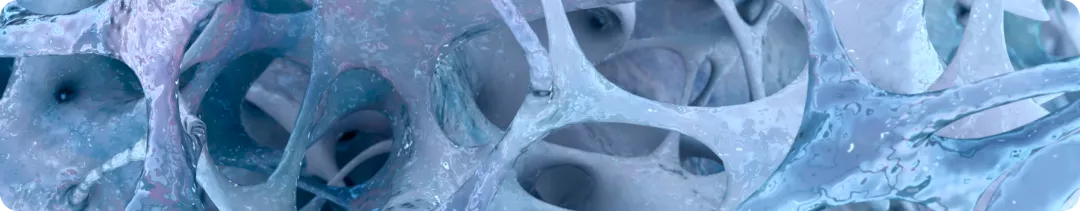 Гетерогенность моноклональных антител на примере ингибиторов ИЛ17