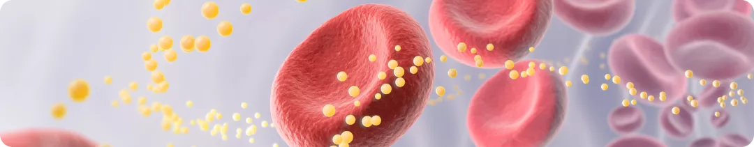 Программа поддержки пациентов, получающих инклисиран, — ЛИПИДКОНТРОЛЬ.РФ