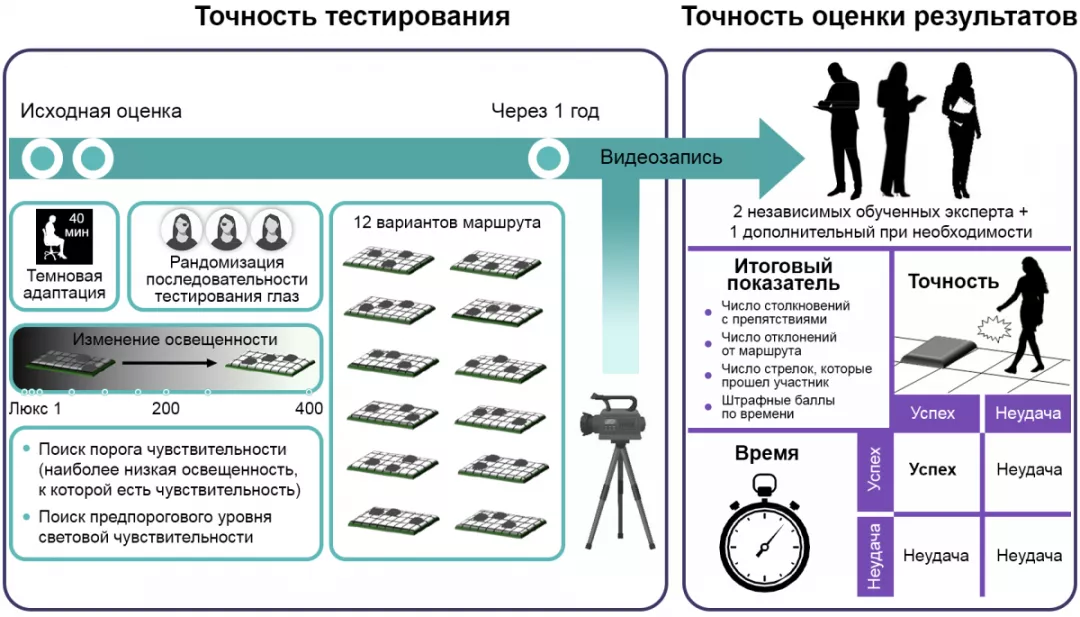 Процедура и оценка результатов MLMT