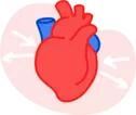 heart_icon_hsn