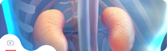 IgA-нефропатия