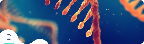 Технология миРНК — будущее лечения сердечно-сосудистых заболеваний.