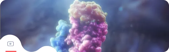 Альтернативный путь активации комплемента