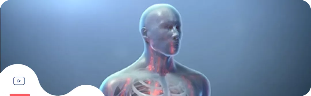 C3-гломерулопатия