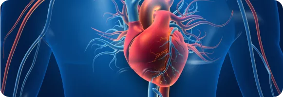 Полиморбидная Академия: комплексный подход к комплексной проблеме