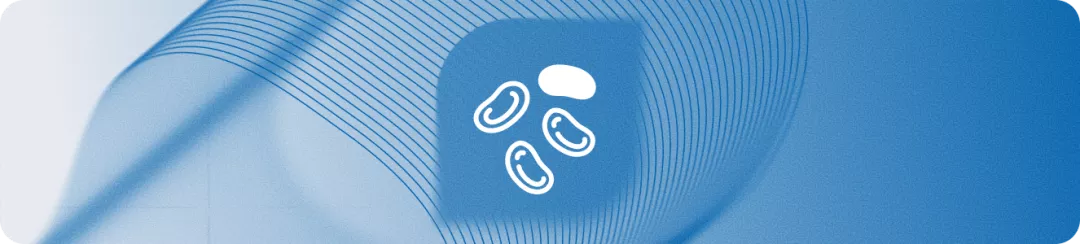 Первичный миелофиброз 