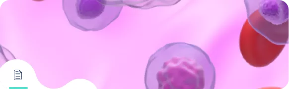 Обновление национальных клинических рекомендаций по диагностике и лечению Ph-негативных миелопролиферативных новообразований