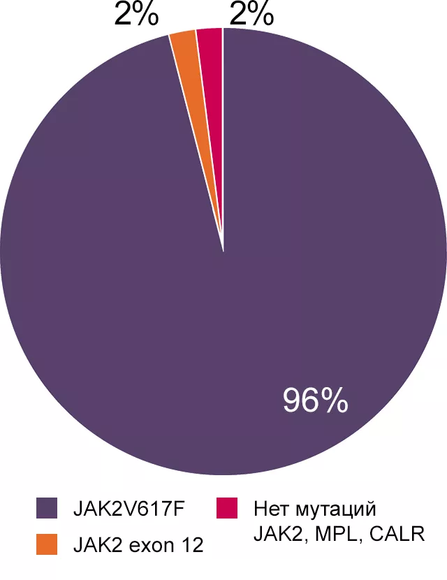 Истинная полицитемия (382 больных)