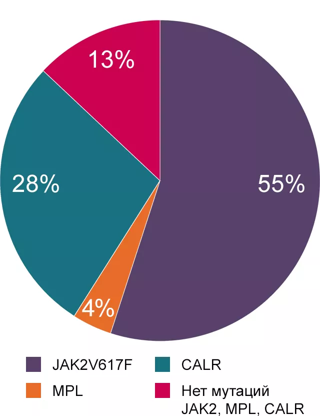 Эссенциальная тромбоцитемия (311 больных)