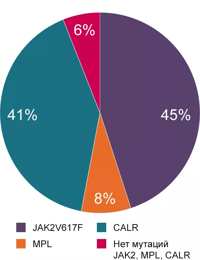 Первичный миелофиброз (203 больных)