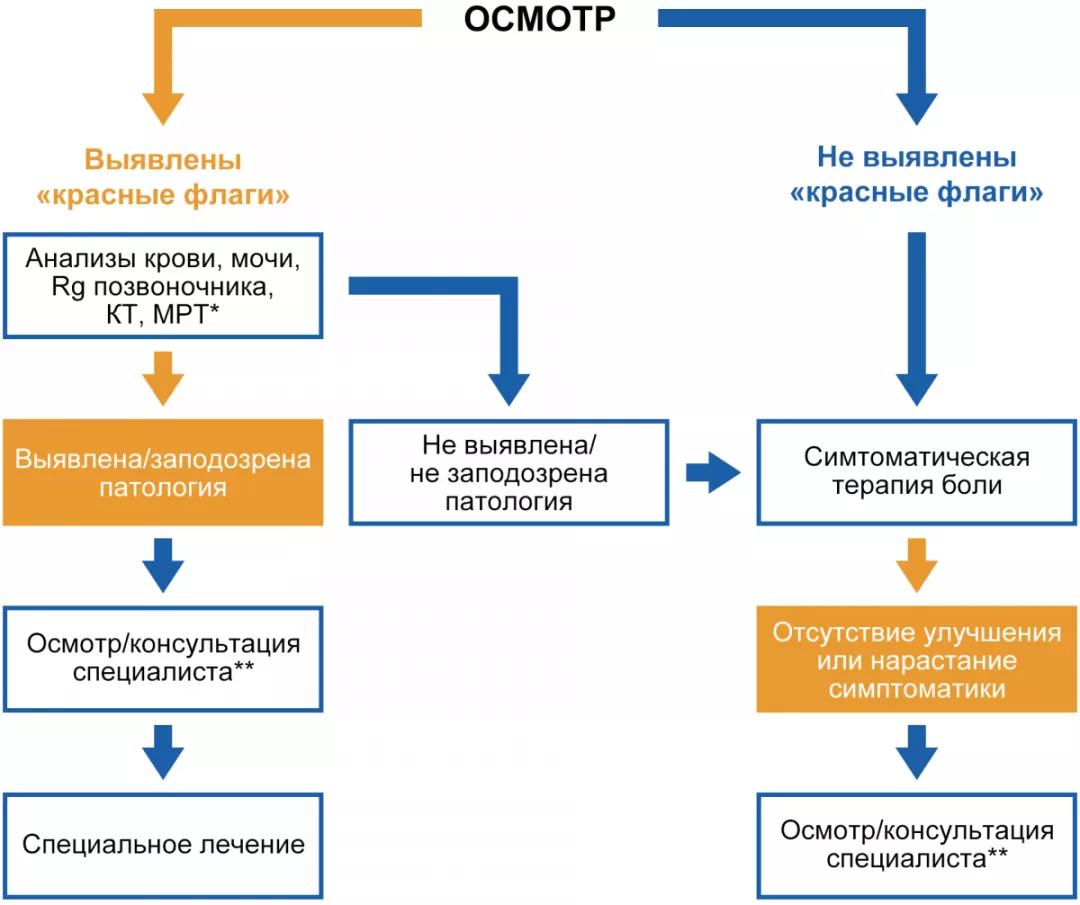 Алгоритм ведения пациента с болью в спине