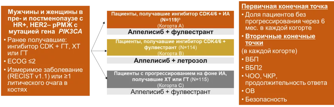 Исследование II фазы BYLieve: критерии включения, описание трёх когорт и конечные точки исследования