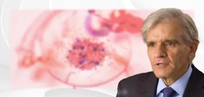 О роли В-клеток в патологии рассеянного склероза.