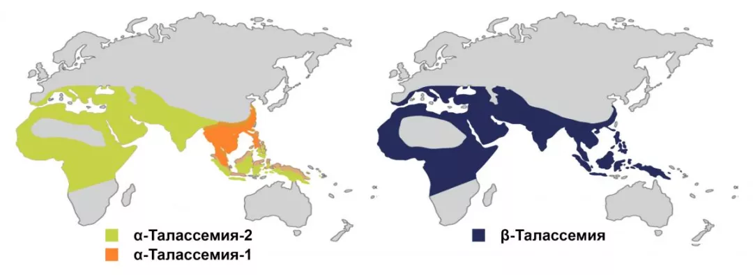 Рисунок 1. Распространение талассемии в мире