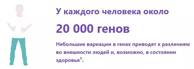 У каждого человека около 20 000 генов