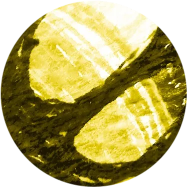 Новые данные исследования BYLieve