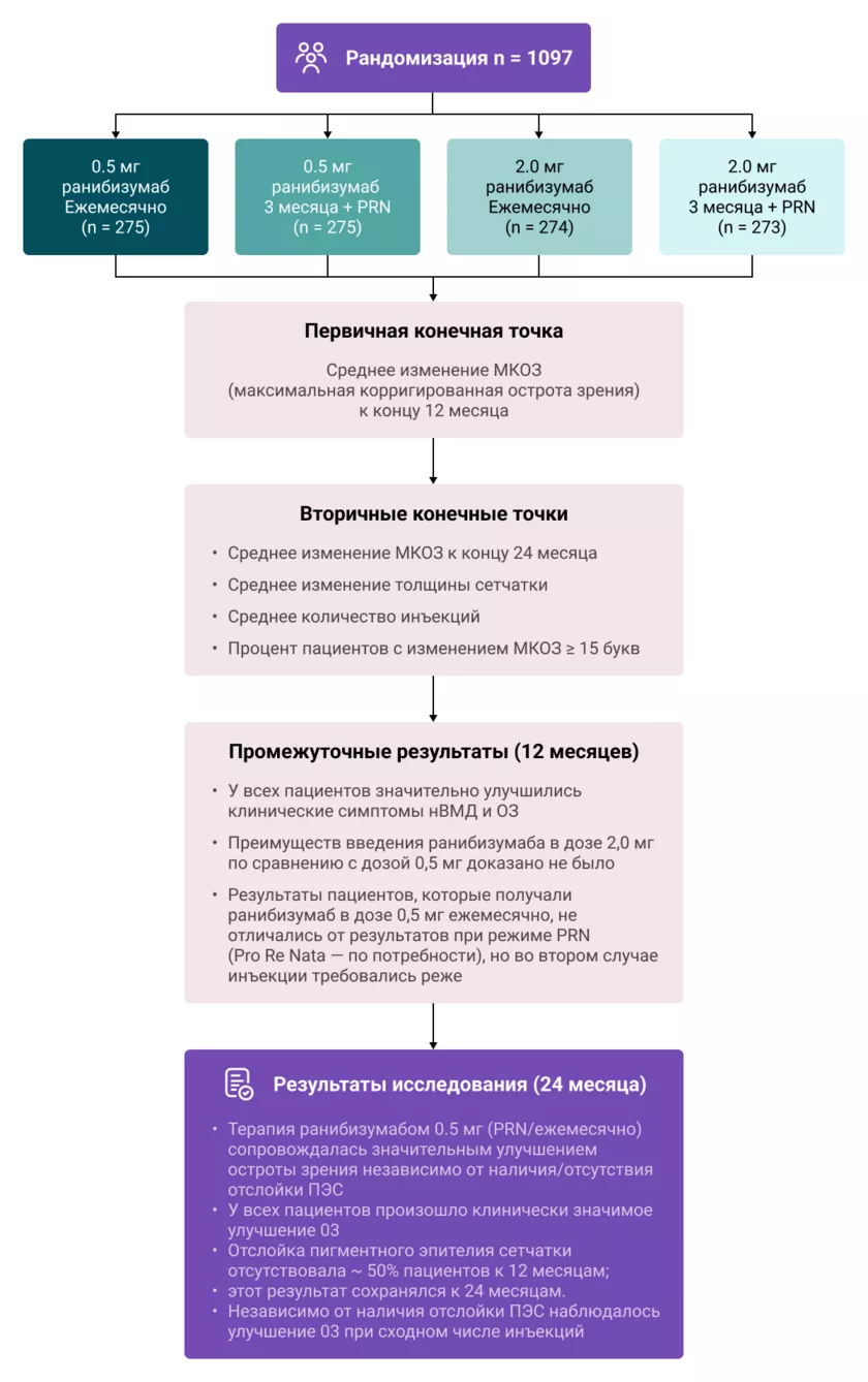 Оценка эффективности и безопасности ранибизумаба при интравитреальном введении в терапии нВМД в течение 24 месяцев
