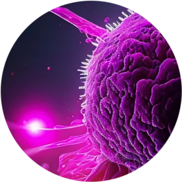 Новые данные исследования RIGHT Choice