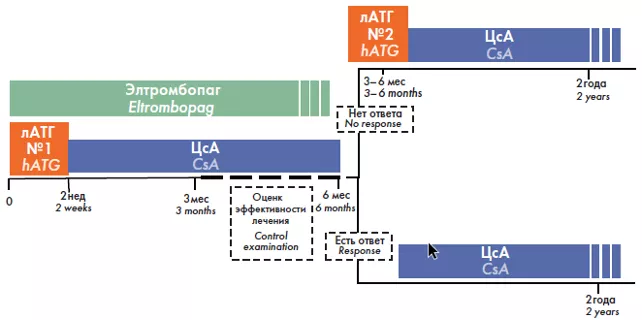 3_Protokol_programmy_kombinirovannoj_IST,_vklyuchayushchij_eltrombopag_v_period_indukcii_remissii_AA.png