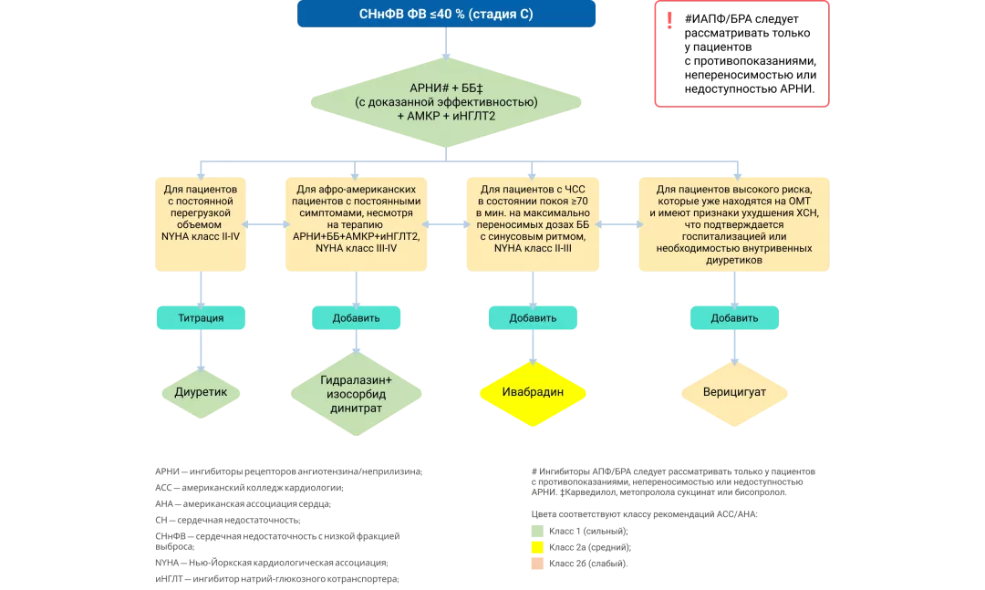 Обновленный Консенсус Экспертов АСС 2024: алгоритм принятия решений в лечении сердечной недостаточности с ФВ ≤ 40%