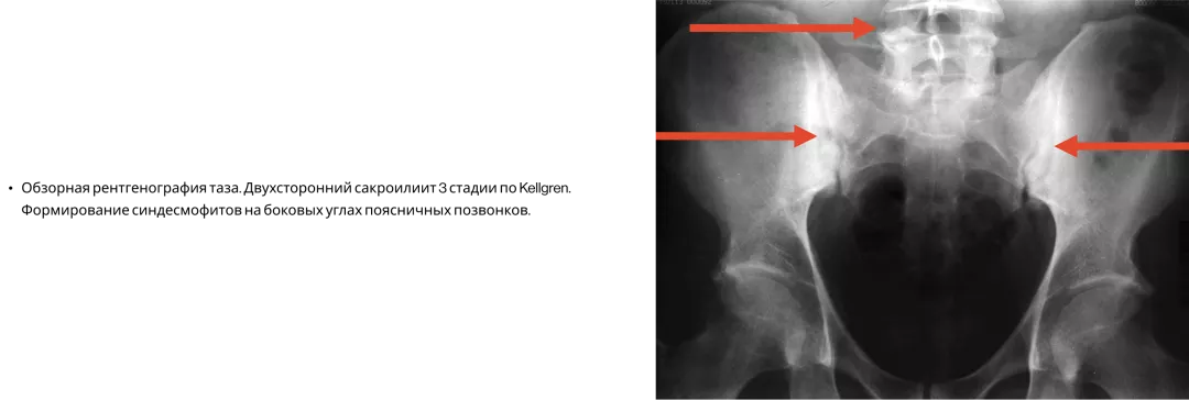 Frame 24062083 (1).png