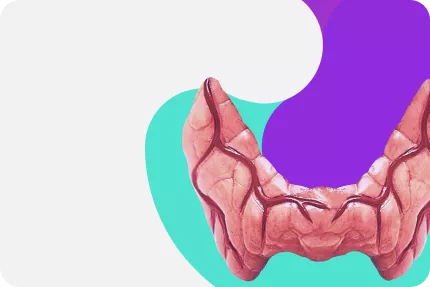 Эндокринология