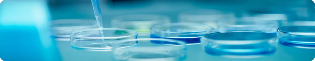 Механизм действия дабрафениба и траметиниба