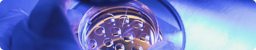 Тонкоигольная биопсия vs трепан-биопсия