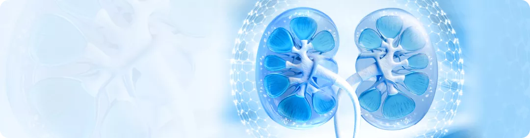 Новаторство в нефрологии: морфологическая революция