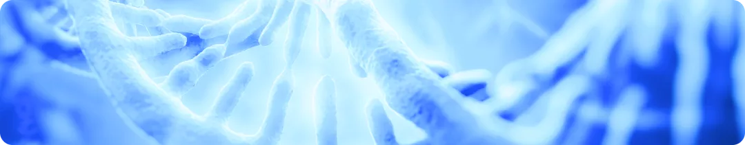 Антитела к факторам комплемента и молекулярно-генетический скрининг на мутации