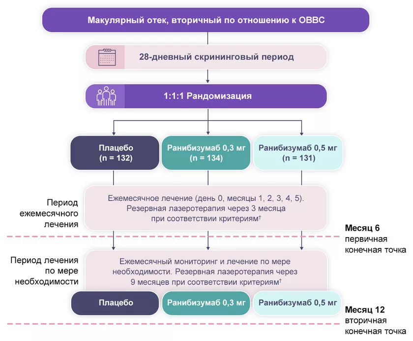 Дизайн исследований BRAVO