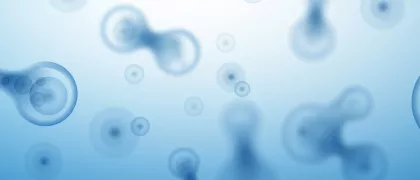 BrasiLEEiera: влияет ли на эффективность комбинации рибоциклиб + ИА* редукция дозы?