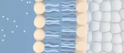 ГИБП в лечении псориаза возможности ингибитора ИЛ-17А