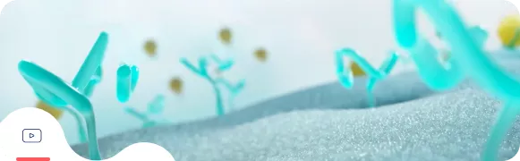 Инклисиран: практическое руководство