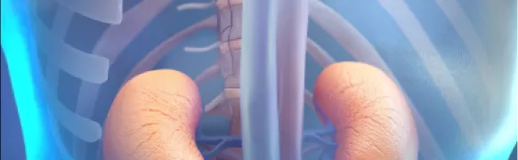 IgA-нефропатия