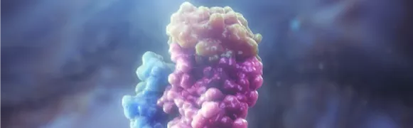 Альтернативный путь активации комплемента