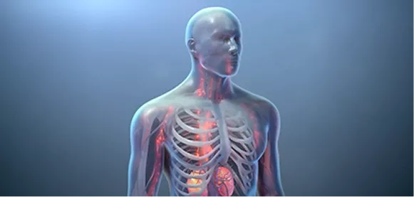 C3-гломерулопатия