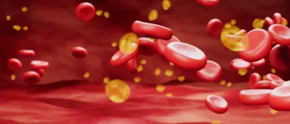 Липопротеин(а): время пришло!