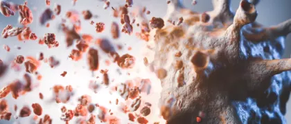 Влияние внутреннего подтипа на эффективность терапии ингибиторами CDK4/6 при распространенном HR+/HER2- РМЖ