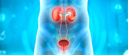 Снижение протеинурии – маркер эффективности терапии патологии почек