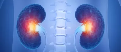 Роль системы комплемента при заболеваниях почек: данные 2024 года (резолюция KDIGO)