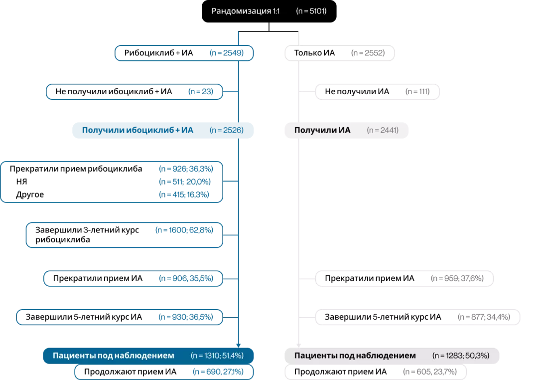 Рисунок 2. Распределение пациентов на момент проведения анализа (дата среза данных 25.05.2025)8