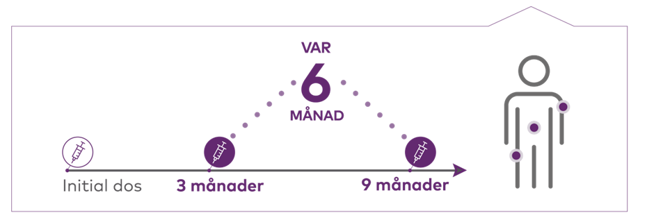 var_sjatte_manad