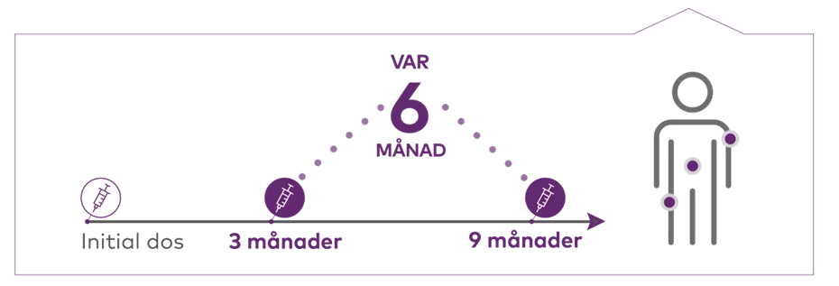 var_sjatte_manad