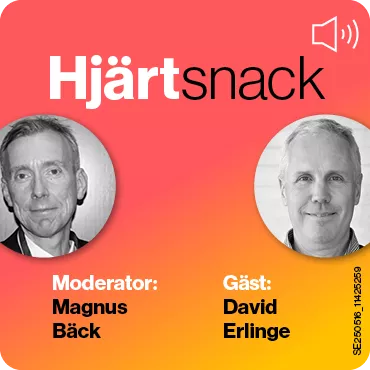 Magnus Bäck och David Erlinge i Hjärtsnack.
