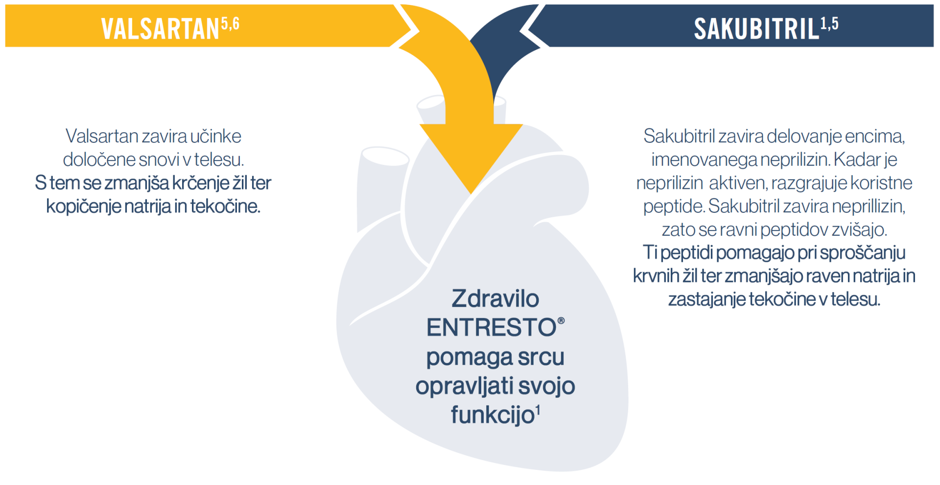 Capture2333.png Capture2333.png