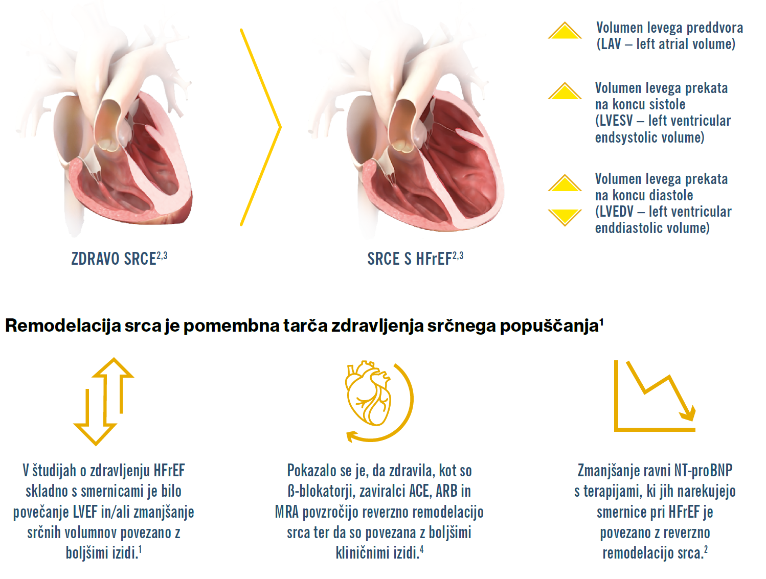 Slika10.png Slika10.png