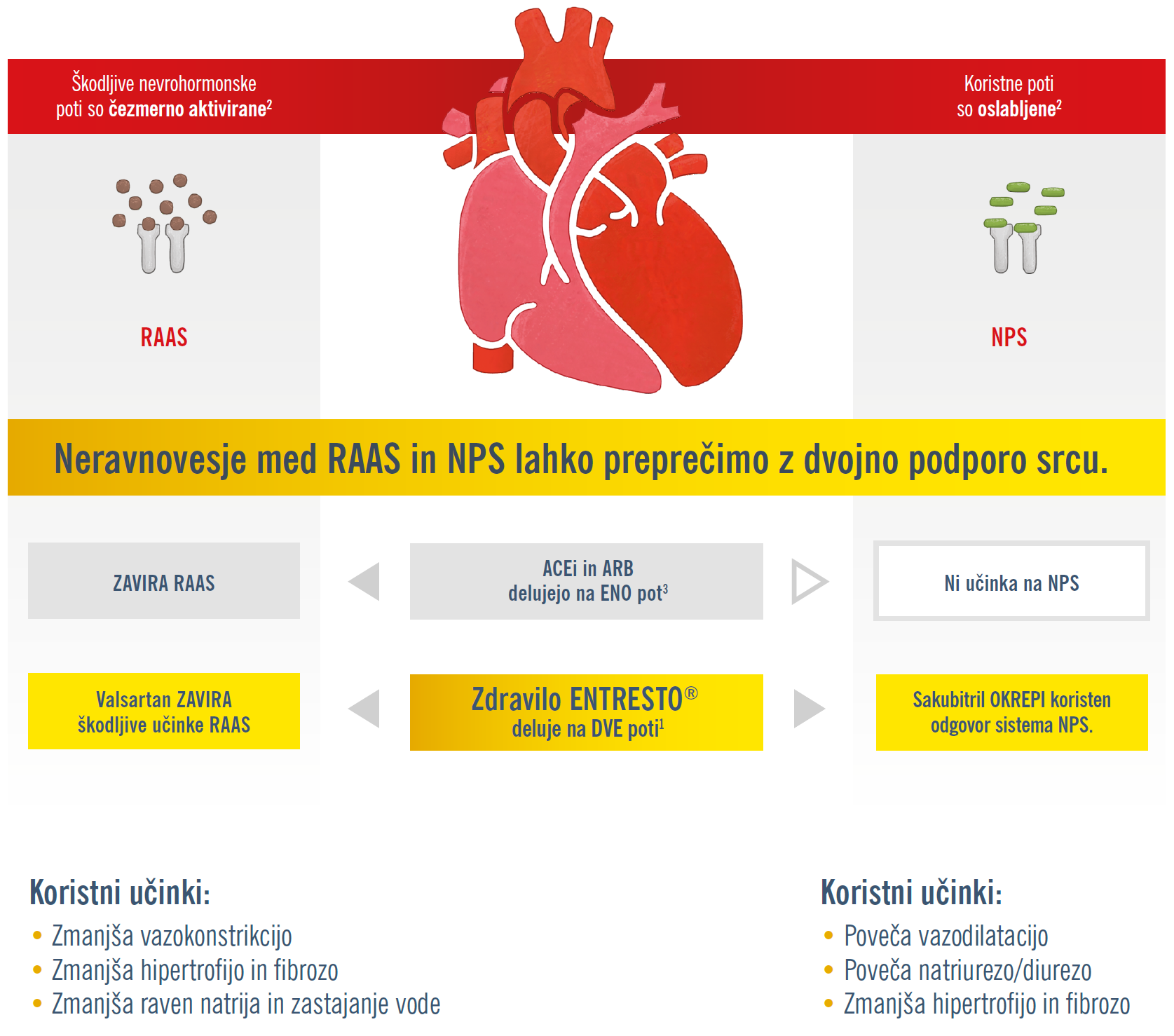 srca1-slika.png srca1-slika.png